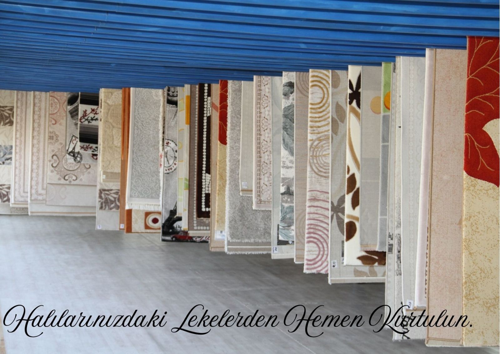 En iyi Halı Yıkama Karamürsel